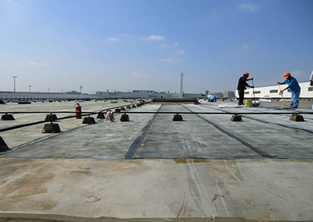 上?；瘜W(xué)建材協(xié)會防水材料及技術(shù)分會成立，公司董...